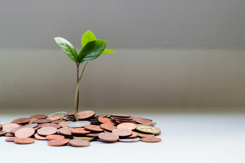 Plant growing from coins representing business growth